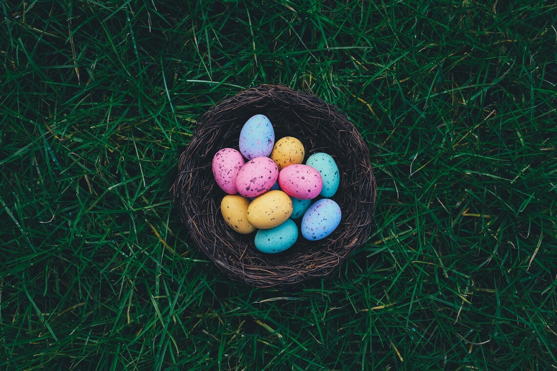 Eggs